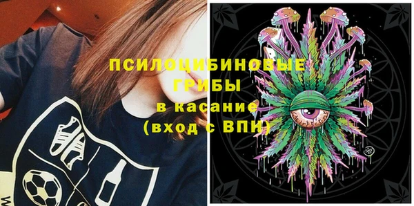 ПСИЛОЦИБИНОВЫЕ ГРИБЫ Абдулино