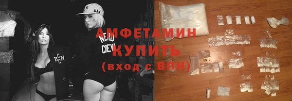 шишки Покачи