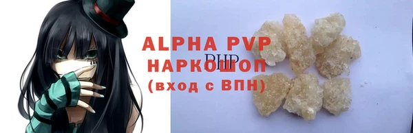 шишки Покачи