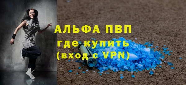 шишки Покачи