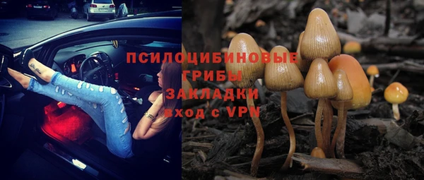 шишки Покачи