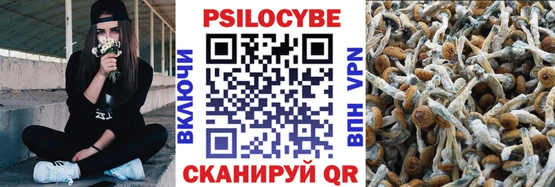 сколько стоит  Тайга  Галлюциногенные грибы прущие грибы 